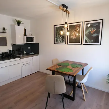 Apartment Cozy Jungle - Modernes Mit Eigenem Parkplatz Magdeburg