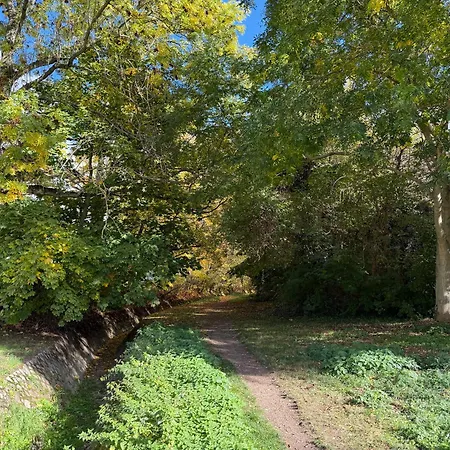 アパート Cozy Jungle - Modernes Mit Eigenem Parkplatz マクデブルク