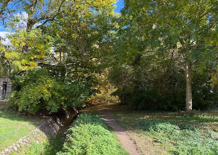 アパート Cozy Jungle - Modernes Mit Eigenem Parkplatz マクデブルク